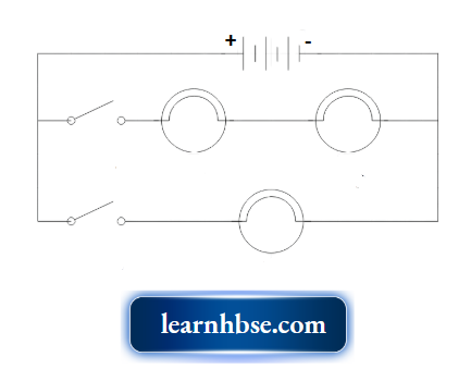 HBSE Class 10 Biology Solutions For 3 Bulbs Can It Form A Battery