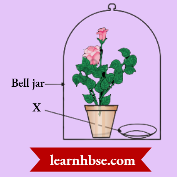 HBSE Class 10 Biology Solutions For A Byproduct Of Respiration