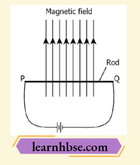 HBSE Class 10 Biology Solutions For A Metal Rod PQ Is Placed In The Magnetic Field