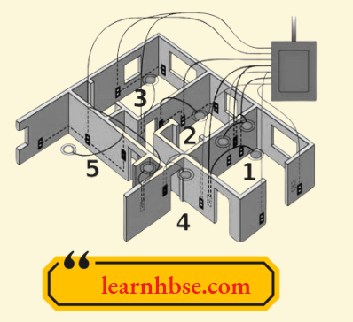 HBSE Class 10 Biology Solutions For A Schematic Diagram Of A Household Circuit