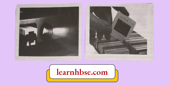 HBSE Class 10 Biology Solutions For A Specialized Slide Projector