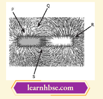 HBSE Class 10 Biology Solutions For A Student Place Some Iron Fillings Around A Magnet
