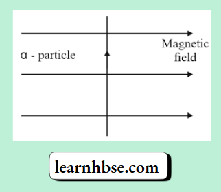 HBSE Class 10 Biology Solutions For Alpha Particle Enters A Uniform Magnetic Field
