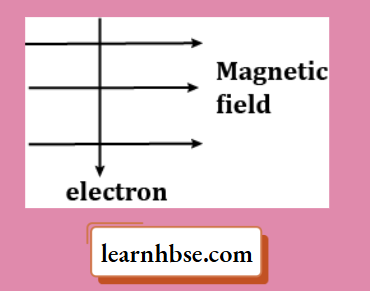 HBSE Class 10 Biology Solutions For An Electron Enters A Magnetic Field At Right Angles