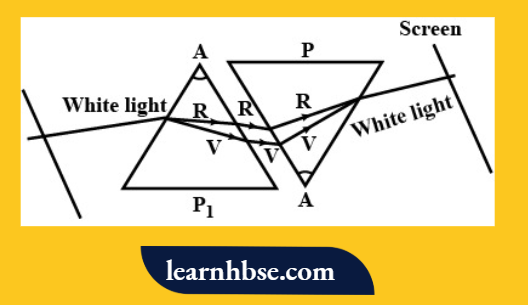 HBSE Class 10 Biology Solutions For Angle Of Deflections Of The Two Prisms Need to Be Equal And Opposite