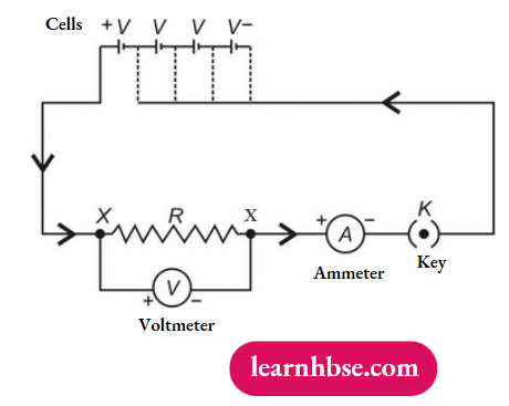 HBSE Class 10 Biology Solutions For Circuit