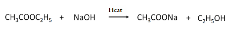 HBSE Class 10 Biology Solutions For Dehydrating Agents And Remove Water Moleules From Ethanol