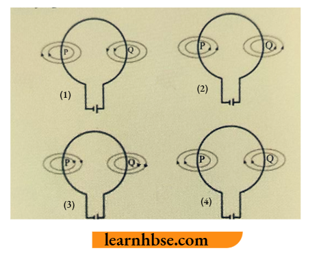 HBSE Class 10 Biology Solutions For Direction Of Magnetic Field Line At point P nd Q In Current Carrying Circular Loop
