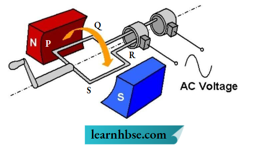 HBSE Class 10 Biology Solutions For Electric Generator
