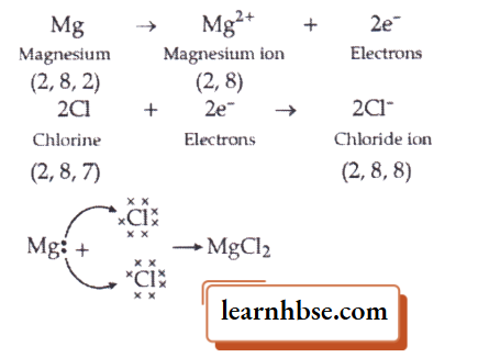 HBSE Class 10 Biology Solutions For Electron Transfer In The Formation Of Magnesium Chloride