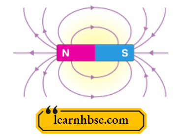 HBSE Class 10 Biology Solutions For Field Lines Emerge From The North Pole