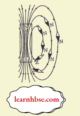 HBSE Class 10 Biology Solutions For Magnetic Field Lines