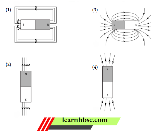 HBSE Class 10 Biology Solutions For Magnetic Field Strength Around A Bar Magnet Is Different At Every Point
