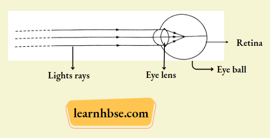 HBSE Class 10 Biology Solutions For Myopia Before The Retina For Far Away Objects
