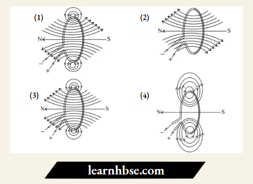 HBSE Class 10 Biology Solutions For Pattern Of Magnetic Field Lines Of The Field