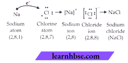 HBSE Class 10 Biology Solutions For Sodium Chloride Is Formed By The Combination Of Sodium And Chloride Ions