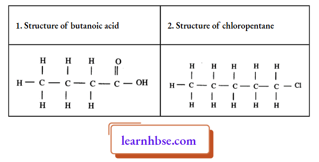 HBSE Class 10 Biology Solutions For Strucutre Of Butanoic Acid And Chloropentane