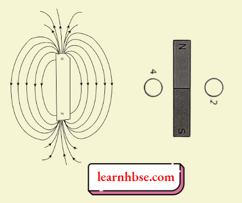 HBSE Class 10 Biology Solutions For The Direction Needle Of Compasses