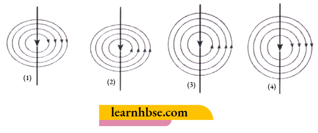 HBSE Class 10 Biology Solutions For The Direction Of Current In The Straight Wire Is Changed