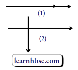 HBSE Class 10 Biology Solutions For The Direction Of The Current And The Magnetic Field Is Parallel