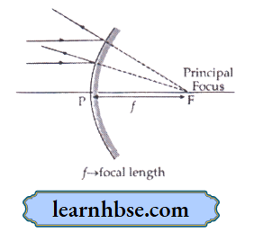 HBSE Class 10 Biology Solutions For The Distance Between Pole Of Convex Mirror And Principal Focus