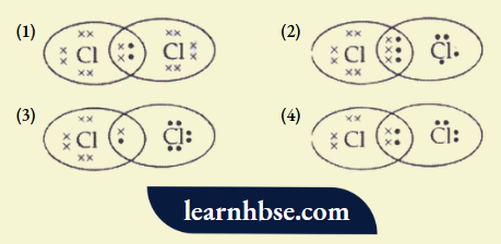 HBSE Class 10 Biology Solutions For The Electron Dot Structure Of Chlorine Molecule