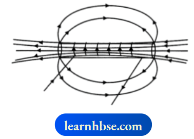 HBSE Class 10 Biology Solutions For The Field Strength Will Be Minimum At point B as Field Lines have Least Density