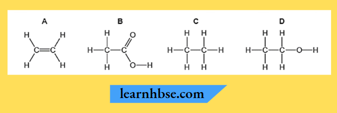 HBSE Class 10 Biology Solutions For The Formule Of Four Organic Compounds