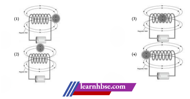 HBSE Class 10 Biology Solutions For The Magnetic Compass Be Placed In Solenoid To Get Maximum Deflection In The Magnetic Compass