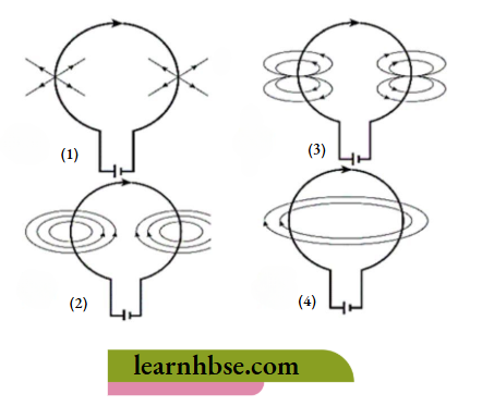 HBSE Class 10 Biology Solutions For The Magnetic Field Lines Around A Current Carrying Circular Loop