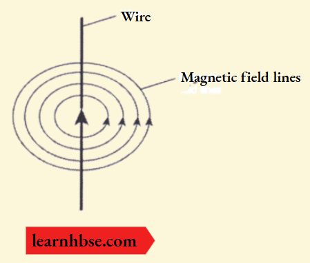 HBSE Class 10 Biology Solutions For The Magnetic Field Lines Around A Straight Current Carrying Conductor
