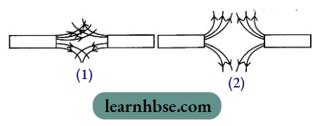 HBSE Class 10 Biology Solutions For The Magnetic Field Lines OfTwo Magnets