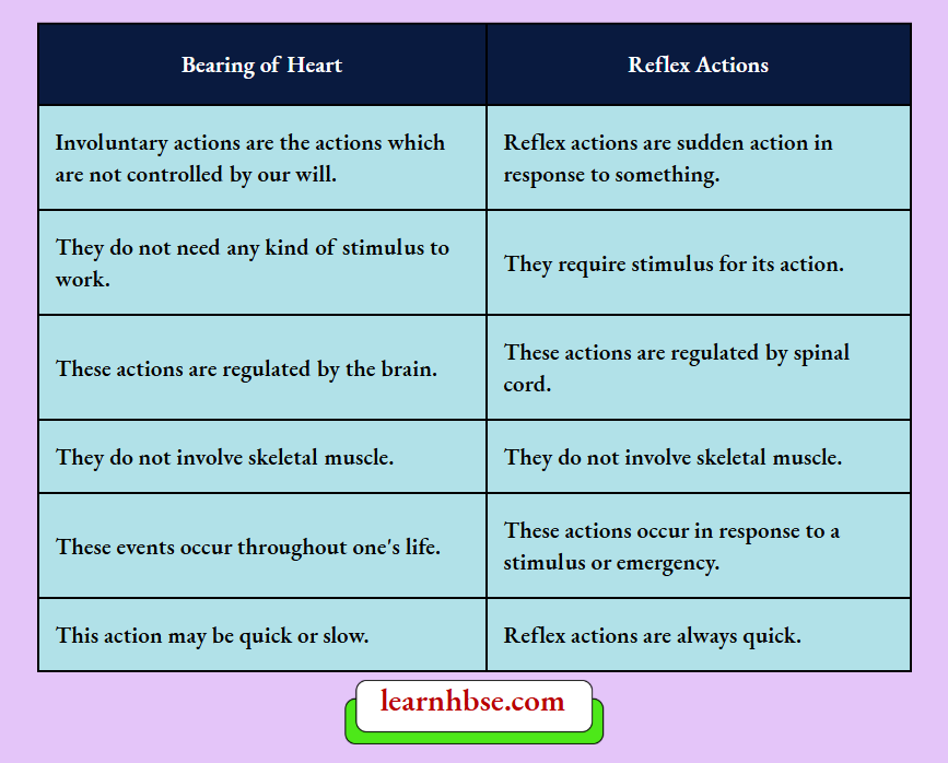 HBSE Class 10 Biology Solutions For The Mode Of Action In Beating Of the Heart Different From Reflex Actions