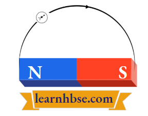 HBSE Class 10 Biology Solutions For The North Pole Of The Magnet