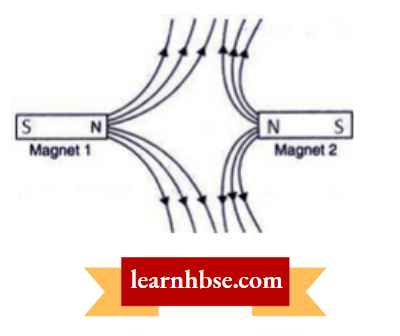 HBSE Class 10 Biology Solutions For The Other Poles Of The Magnets