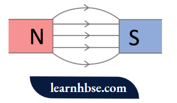 HBSE Class 10 Biology Solutions For The Pole Of The Magnet