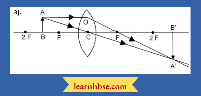 HBSE Class 10 Biology Solutions For The Ray Diagram