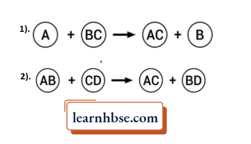 HBSE Class 10 Biology Solutions For The Types Of reaction The Type In the Form Of A Balanced Chemical Equations