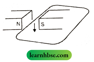 HBSE Class 10 Biology Solutions For The Wire Moved Downwards Through The Magnetic Field