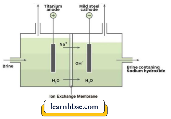 HBSE Class 10 Biology Solutions For The gasses Evolced At The Anode And Cathode In The Experimental Set Up