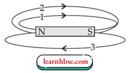 HBSE Class 10 Biology Solutions For Three Magnetic Field Lines 1, 2 And 3 Of A Bar Magnet
