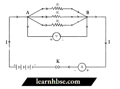 HBSE Class 10 Biology Solutions For Three Resistors Are Connected In Parallel