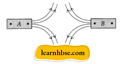 HBSE Class 10 Biology Solutions For Two Magnets A And B The Magnetic Field Lines