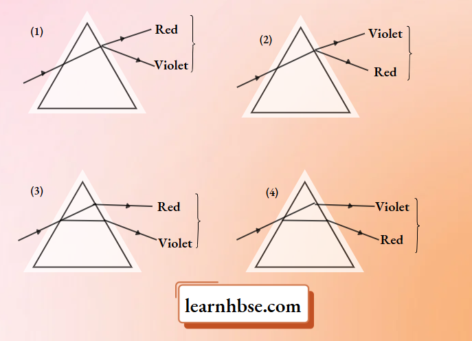 HBSE Class 10 Physics Solutions For Chapter 2 A Ray Light Dispire In The Prism