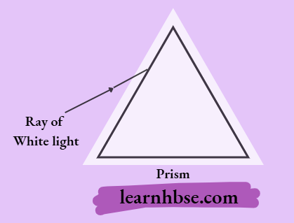 HBSE Class 10 Physics Solutions For Chapter 2 A Ray Of Light Is Incident On One Face Of The Prism
