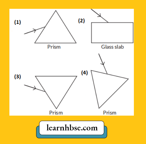 HBSE Class 10 Physics Solutions For Chapter 2 Dispersion take Place When Sunlight Passes Throught It
