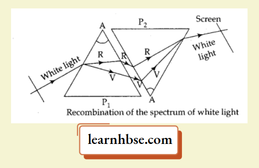 HBSE Class 10 Physics Solutions For Chapter 2 Recombination Of The Spectrum Of White Light