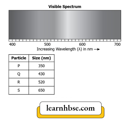 HBSE Class 10 Physics Solutions For Chapter 2 The Data About The Wavelength Of The Visible light And Size Of The Particle