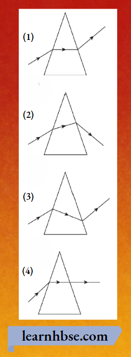 HBSE Class 10 Physics Solutions For Chapter 2 The Deviation Of Light In A Prism
