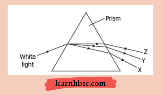HBSE Class 10 Physics Solutions For Chapter 2 The Dispersion Of The White Light In The Prism